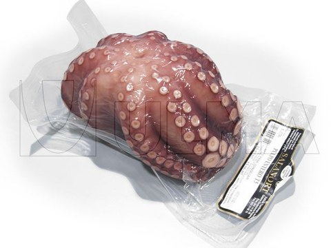 Olagarro osoa hutsean termoformatuan ontziratzea Olagarro osoa hutsean termoformatuan ontziratzea