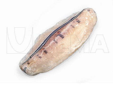 Arrain zati izoztuak flow packean ontziratzea (hffs) Arrain zati izoztuak flow packean ontziratzea (hffs)