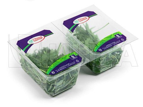 Errukula atmosfera aldatuarekin (MAP)  termozigilatuan ontziratzea Errukula atmosfera aldatuarekin (MAP)  termozigilatuan ontziratzea